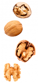 walnuts-four.png